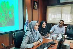 برگزاری جلسه هماهنگی واحد بهداشت محیط در شبکه بهداشت و درمان اسلامشهر